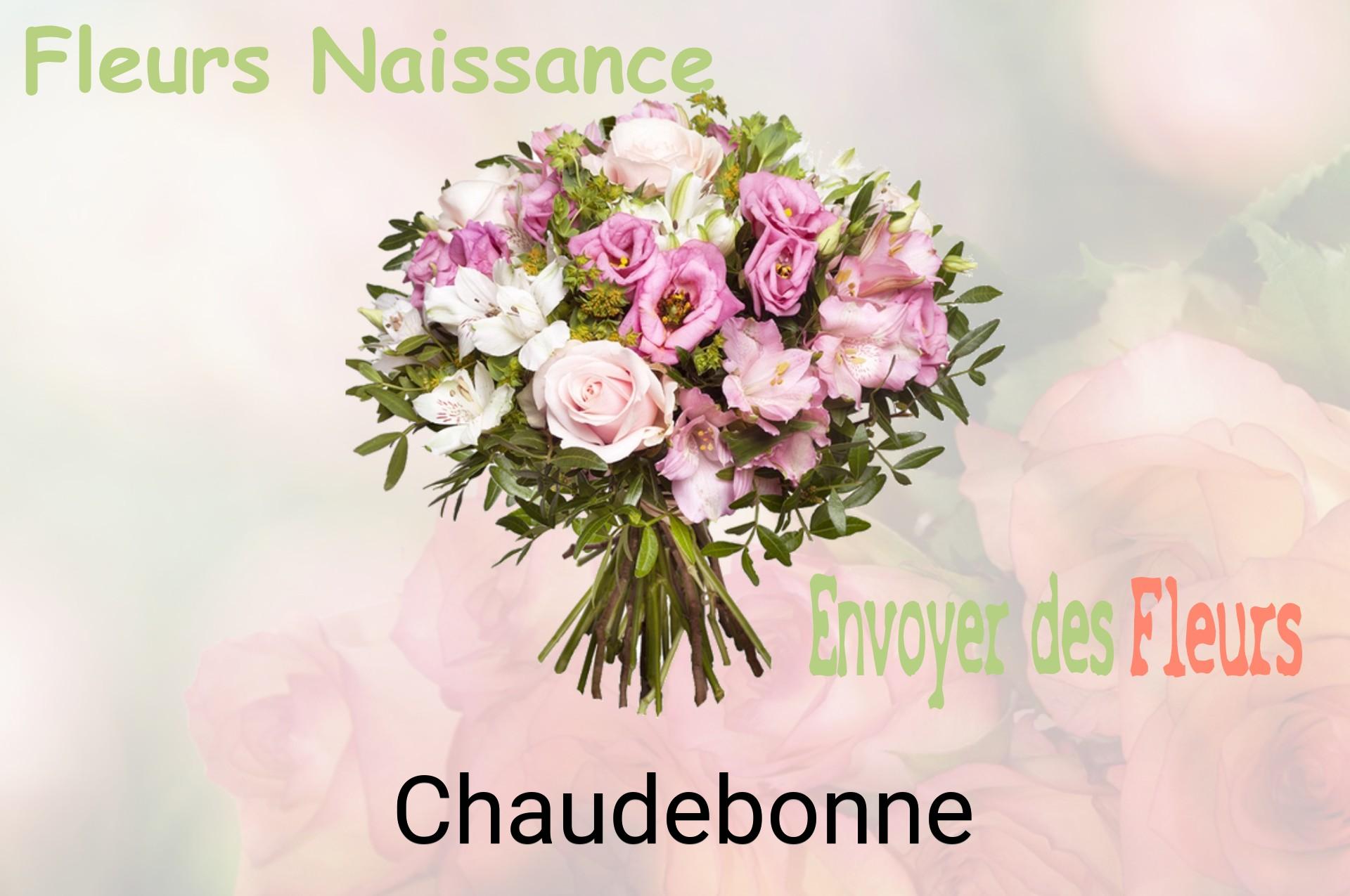 Bouquet de fleurs de naissance livré à Chaudebonne