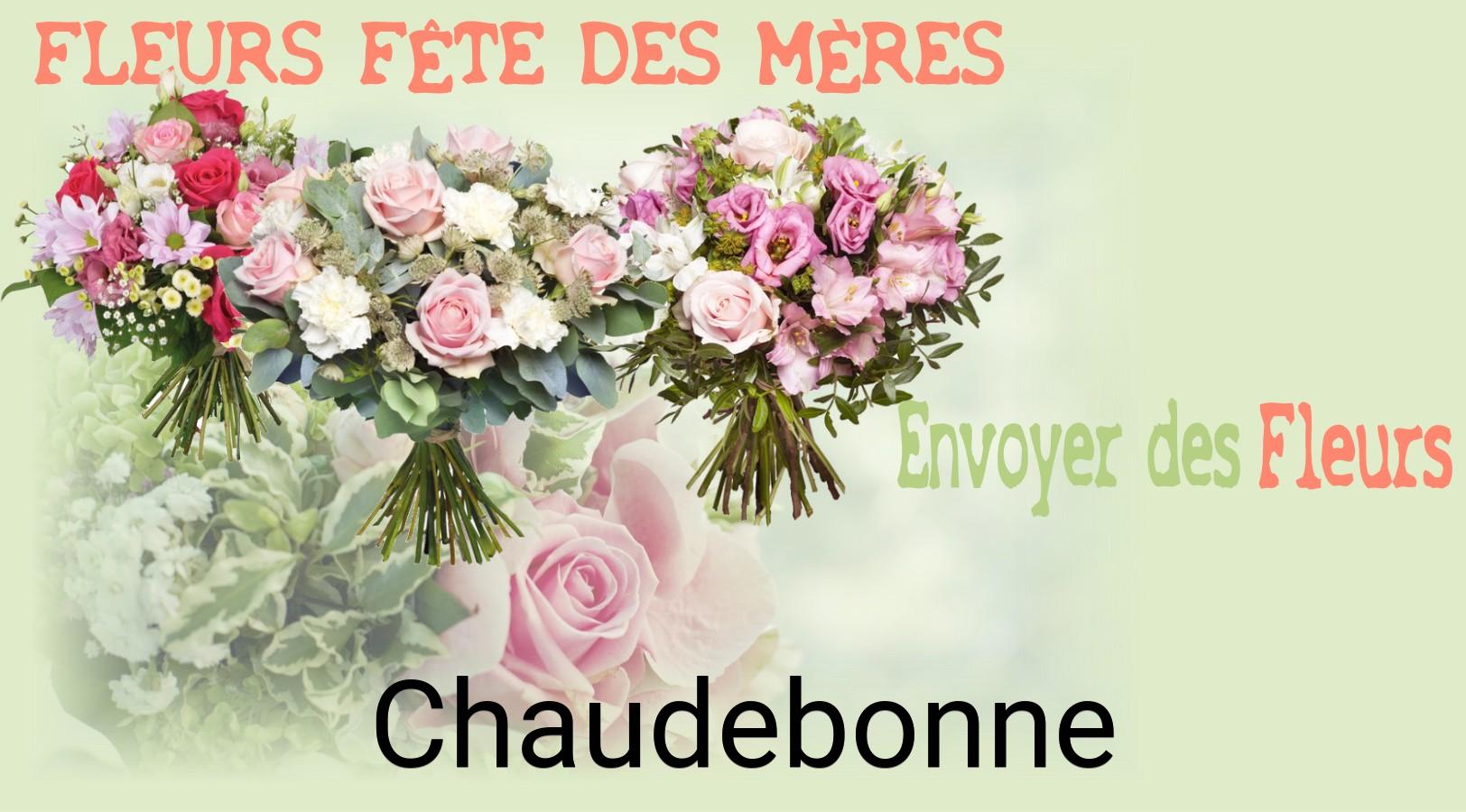 Bouquet de Fête des Mères livré à Chaudebonne